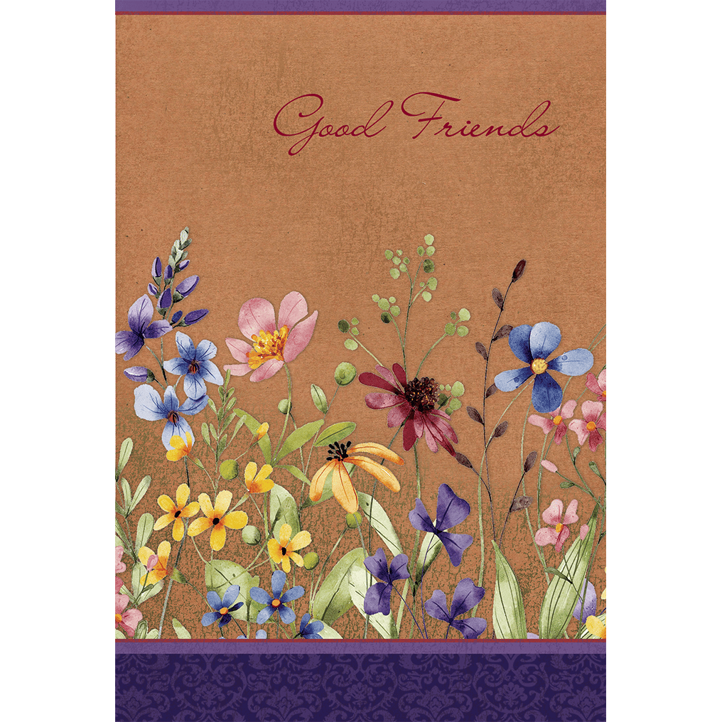 Pictura Good Friends birthday card featuring cheerful colorful design for celebrating friends' birthdays.